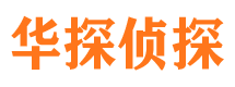 七里河市私家侦探